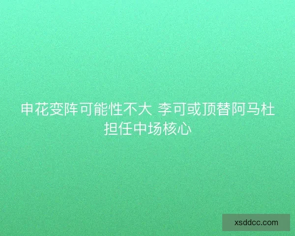 申花变阵可能性不大 李可或顶替阿马杜担任中场核心